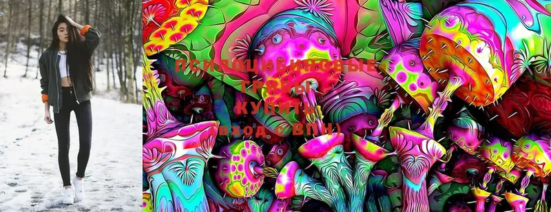 Галлюциногенные грибы MAGIC MUSHROOMS  omg сайт  Белая Холуница 